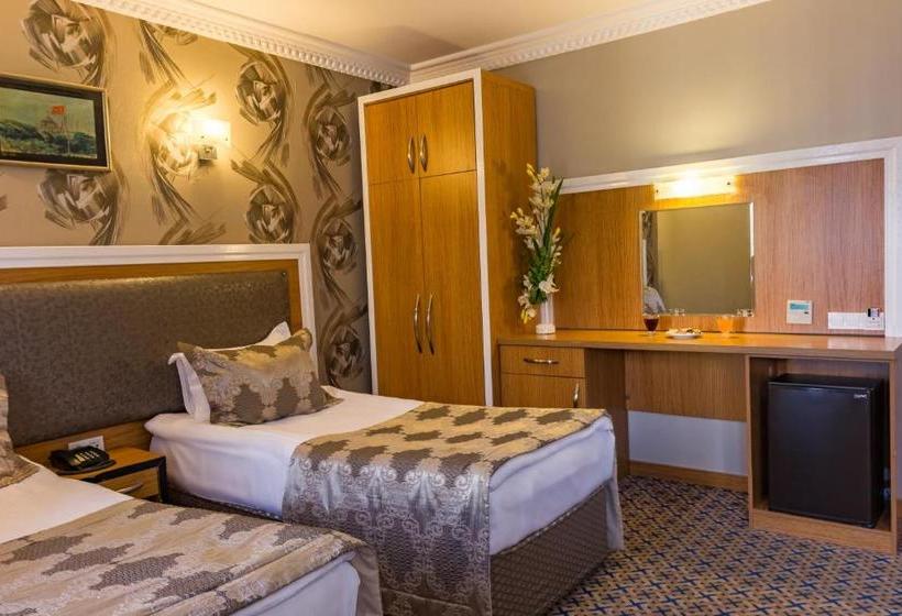 Fotos del hotel Grand Rosa:  2