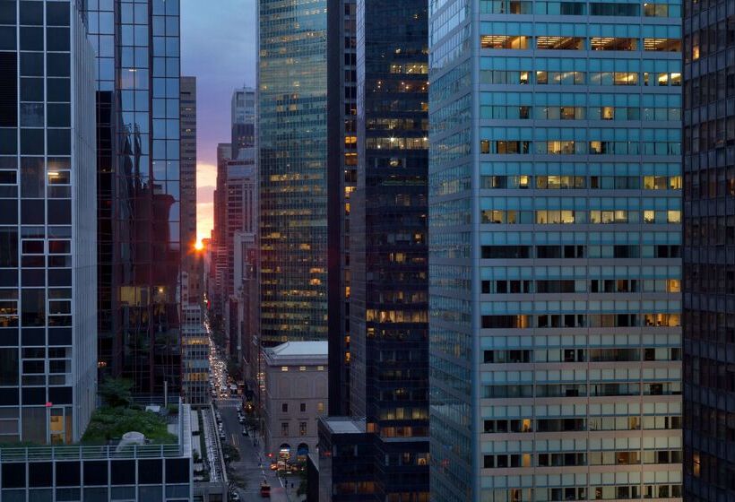 Fotos del hotel Hilton Garden Inn New York Manhattan Midtown East:  26