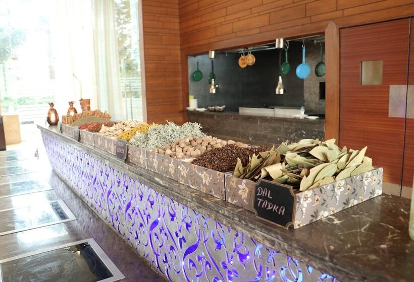 Fotos del hotel Holiday Inn Chandigarh Panchkula, An Ihg:  10