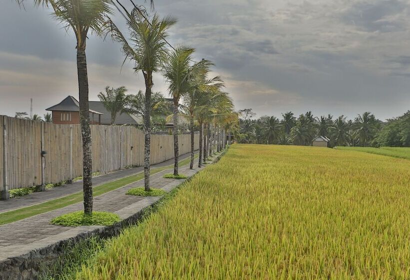 هتل Pertiwi Bisma 1