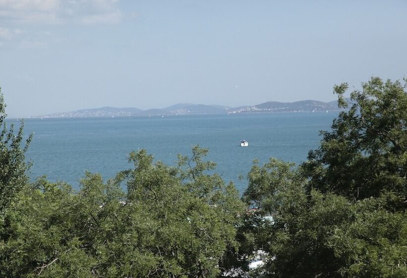 Fotos del hotel Seahouse Suites:  31