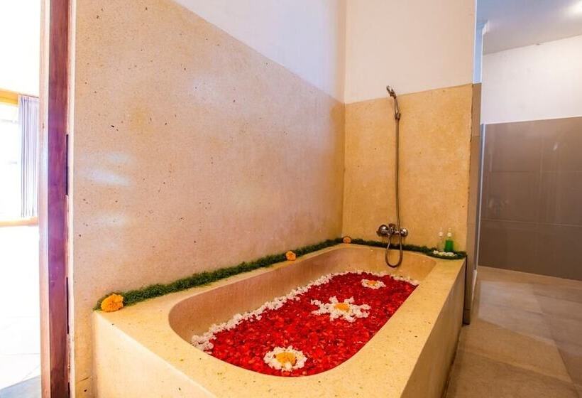 Fotos del hotel Villa Mandi:  10