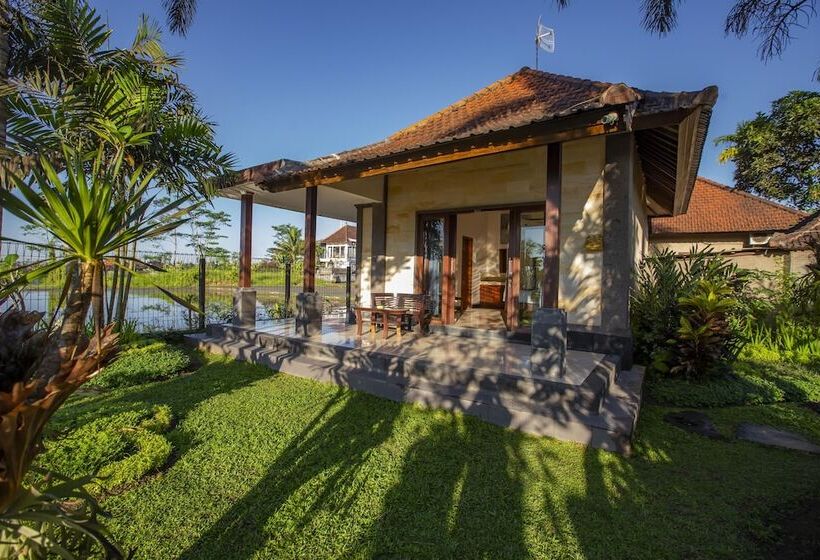 Fotos del hotel Villa Mandi:  24