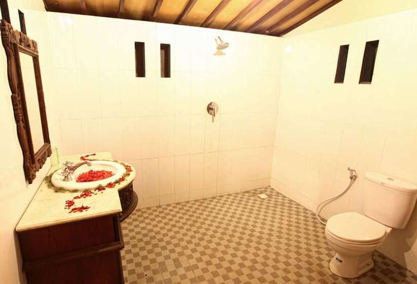 Fotos del hotel Villa Mandi:  27