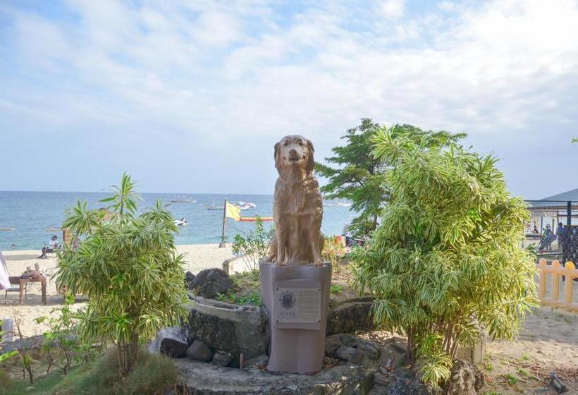 هتل Acuaverde Beach Resort