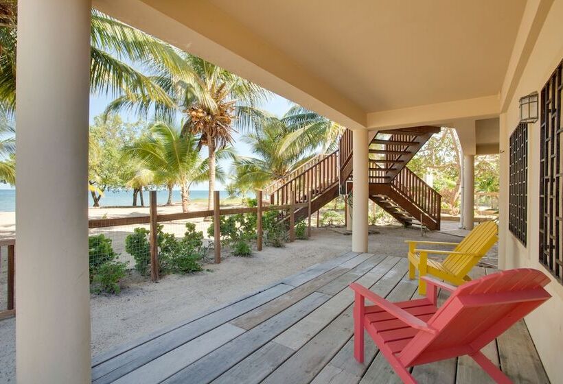 هتل Buttonwood Belize