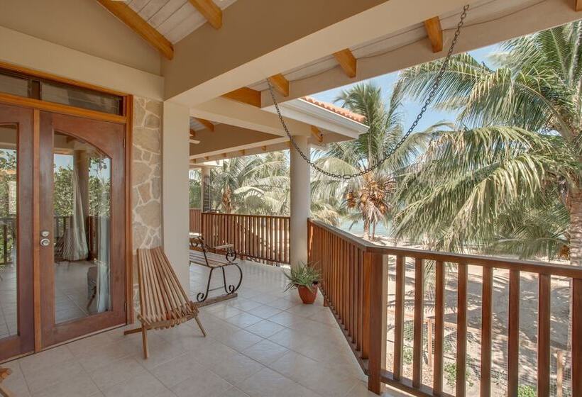 هتل Buttonwood Belize