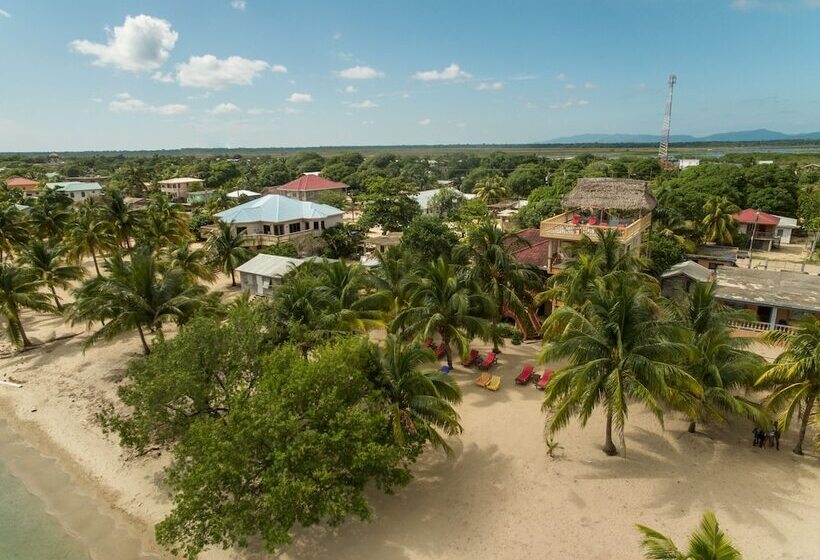 هتل Buttonwood Belize