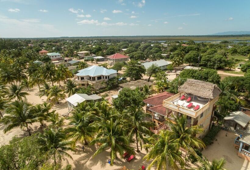 هتل Buttonwood Belize