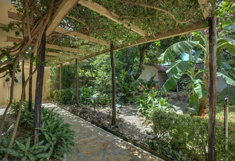 هتل Buttonwood Belize