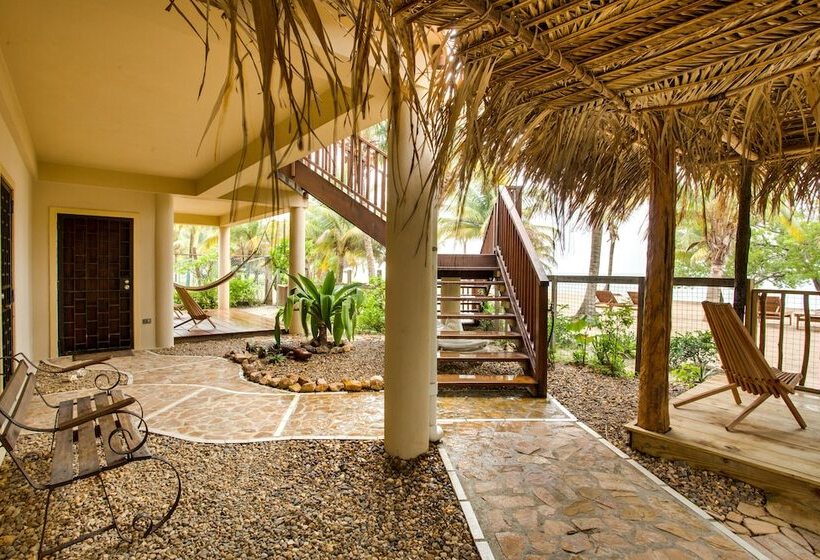 هتل Buttonwood Belize