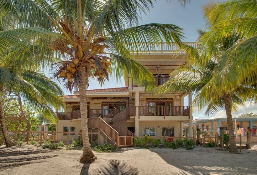 هتل Buttonwood Belize