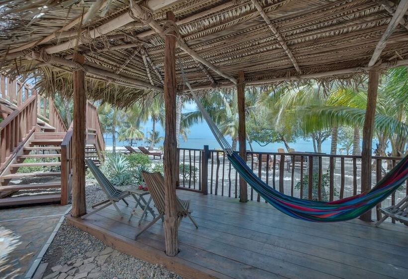 هتل Buttonwood Belize