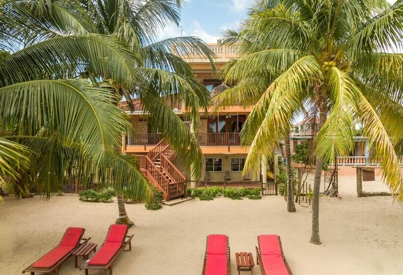 هتل Buttonwood Belize