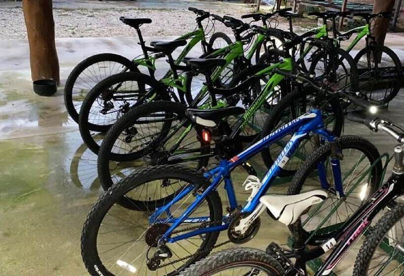 Fotos del hotel Capital O Cancun Ocean View:  22