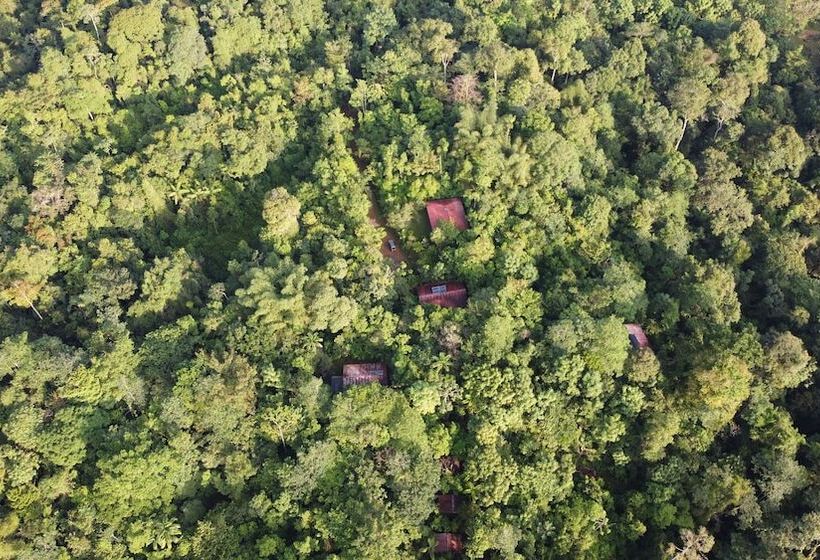 فندق Yatama Ecolodge Sarapiqui