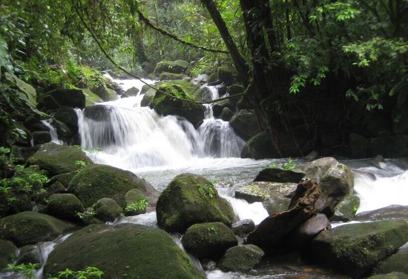 فندق Yatama Ecolodge Sarapiqui