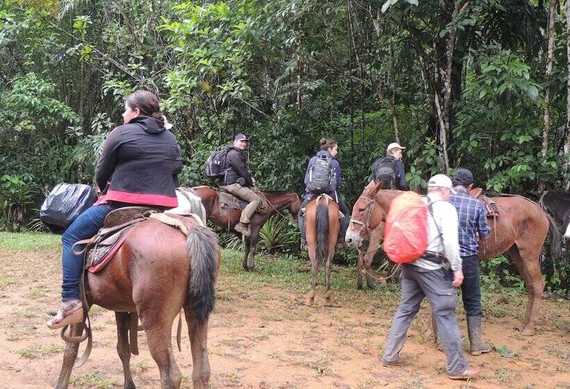 فندق Yatama Ecolodge Sarapiqui