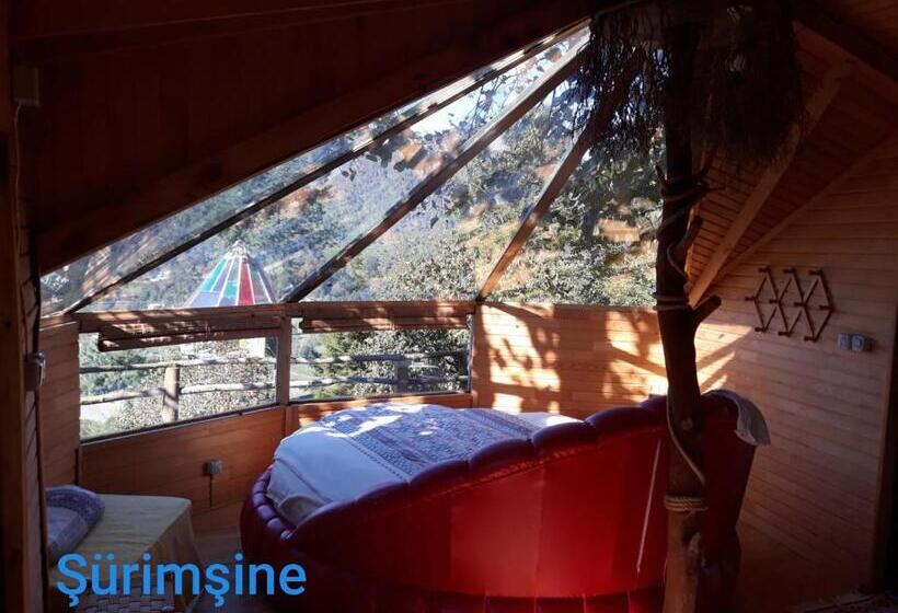 تختخواب و صبحانه Olimbera Köy Evi