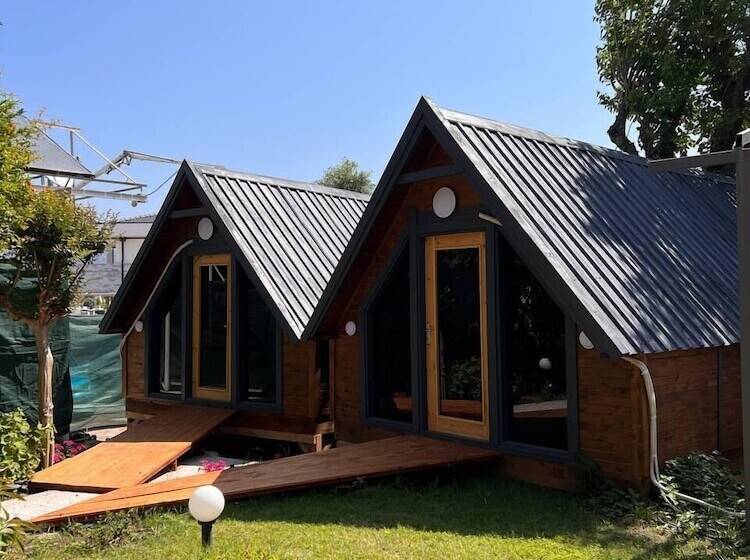 تختخواب و صبحانه Palma Rosa