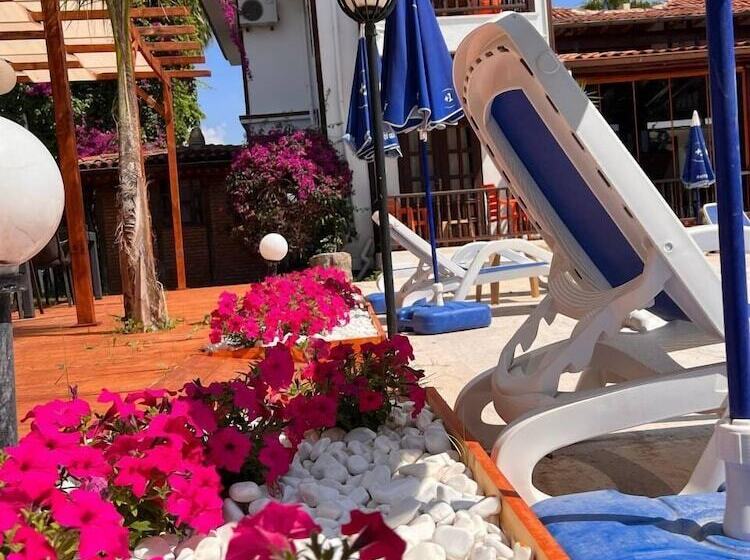 تختخواب و صبحانه Palma Rosa