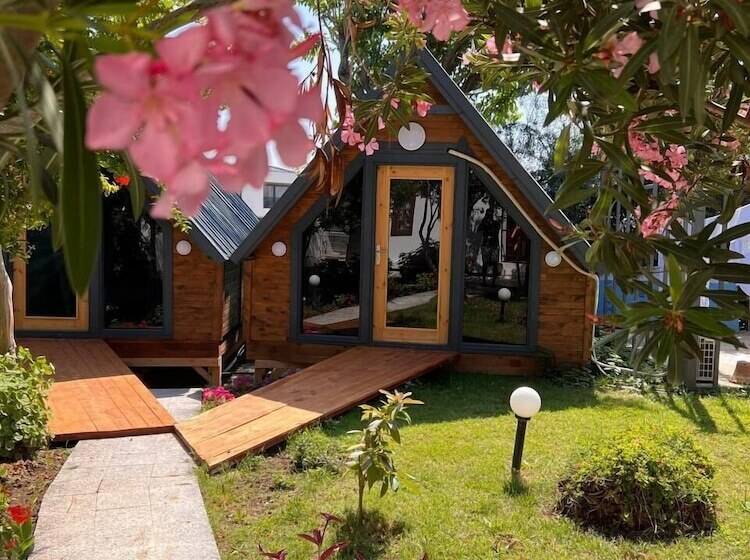 تختخواب و صبحانه Palma Rosa