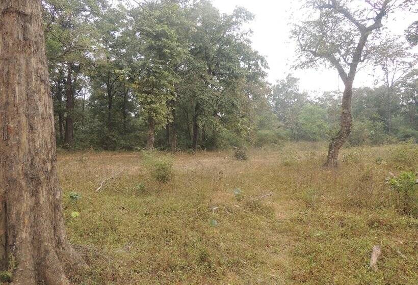 膳宿费 Room In Farmhouse   Dandeli   Aura Jungle Stay