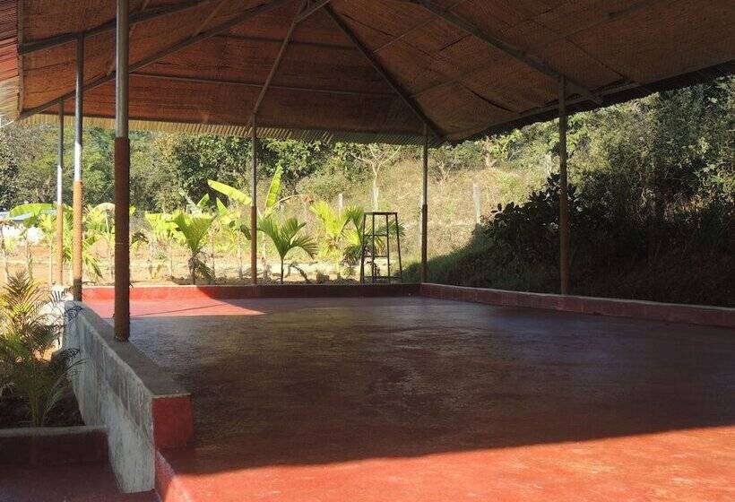 膳宿费 Room In Farmhouse   Dandeli   Aura Jungle Stay