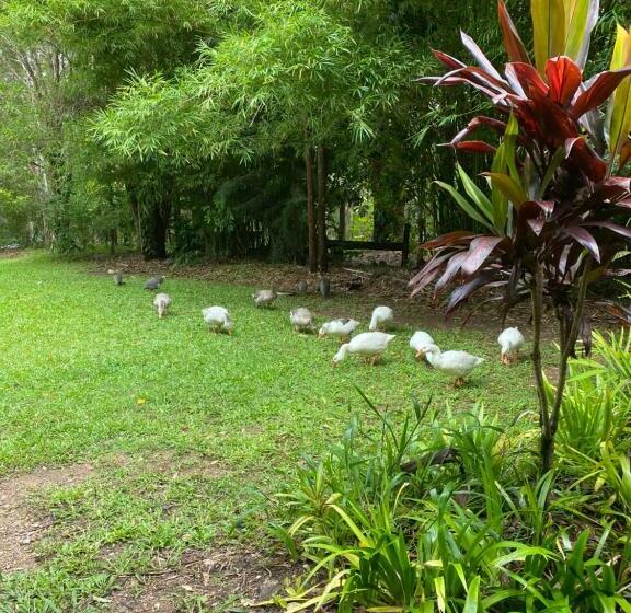 펜션 The Wake Up Call Accommodation & Retreats Noosa Hinterland