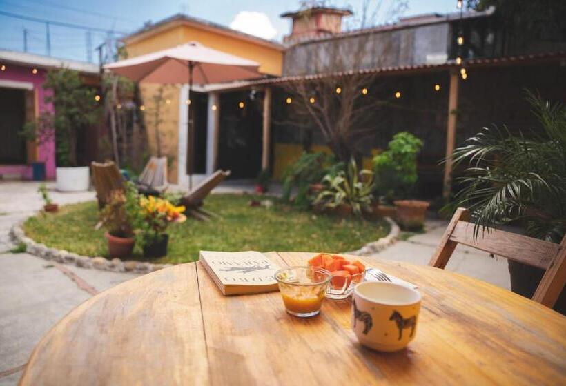 هاستل Casa Sofia Guest House