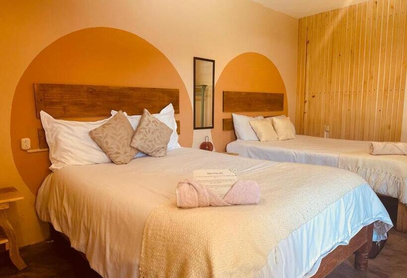 هاستل Casa Sofia Guest House