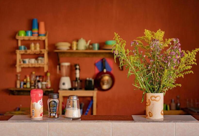 هاستل Casa Sofia Guest House