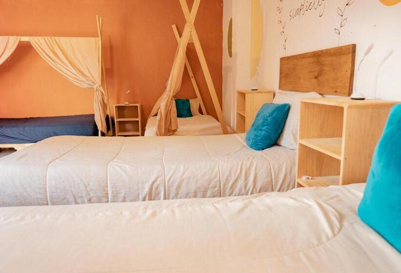 هاستل Casa Sofia Guest House