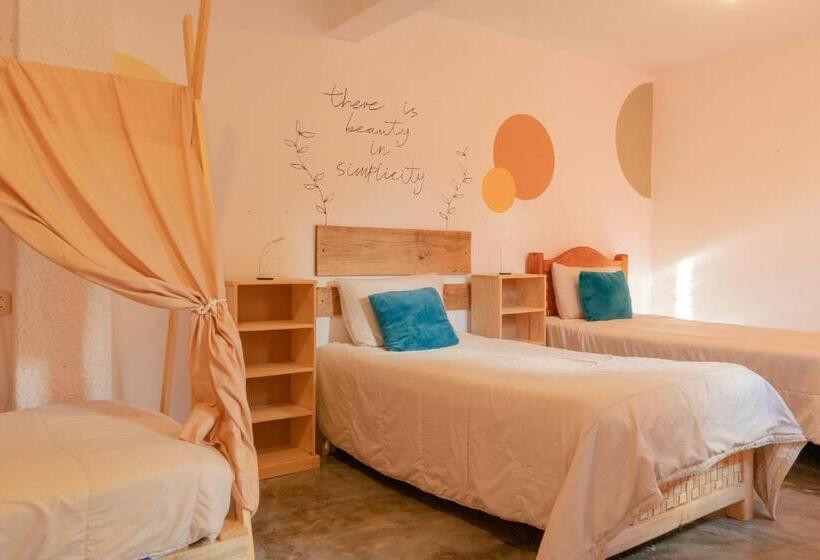 هاستل Casa Sofia Guest House