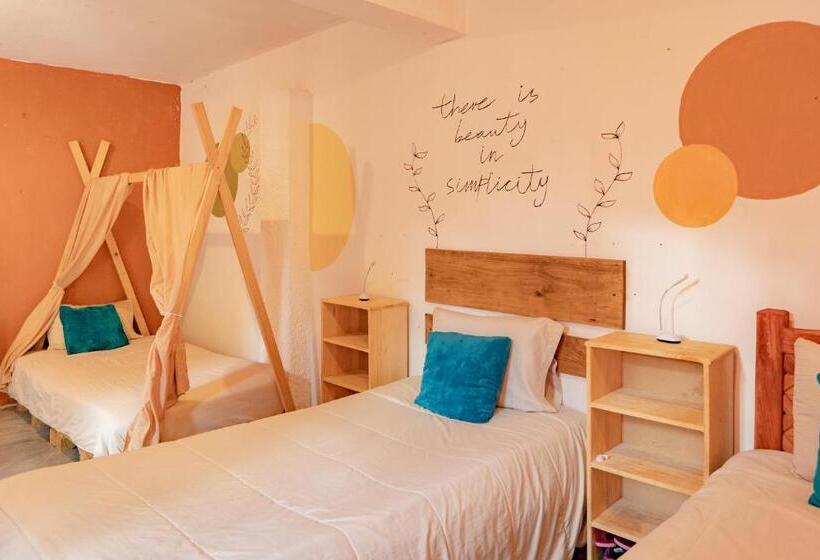 هاستل Casa Sofia Guest House
