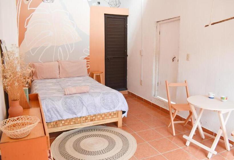 هاستل Casa Sofia Guest House