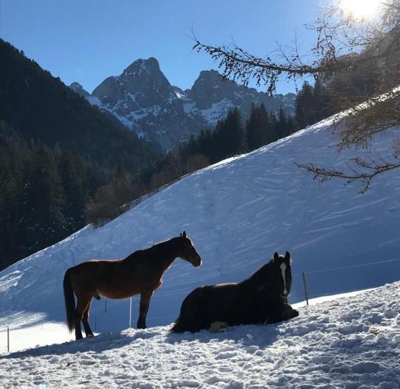 تختخواب و صبحانه Au Pré Des Chevaux