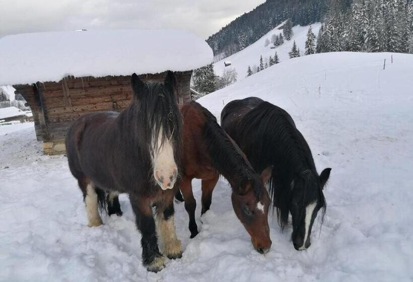 تختخواب و صبحانه Au Pré Des Chevaux