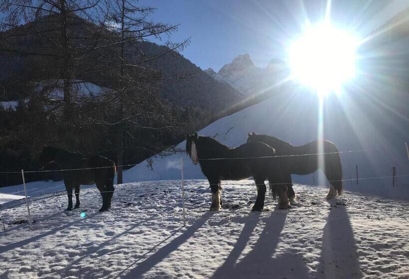 تختخواب و صبحانه Au Pré Des Chevaux