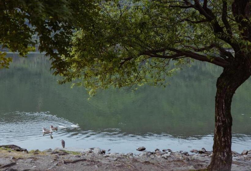 تختخواب و صبحانه Dao Villa