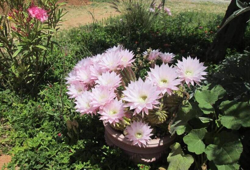 ベッドアンドブレックファースト Ksar Montana Hôtel, Chambres Piscine