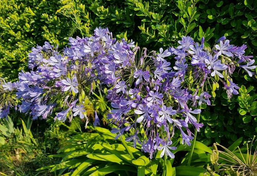 住宿加早餐  La Minoterie   Studio Avec Kitchenette Et Chambre D Hôtes