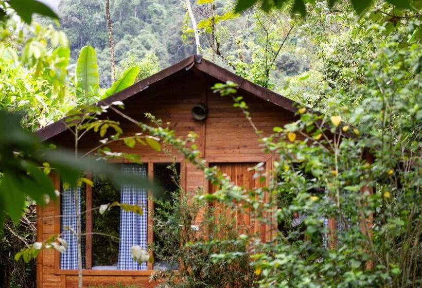 هتل El Abrazo Del Arbol