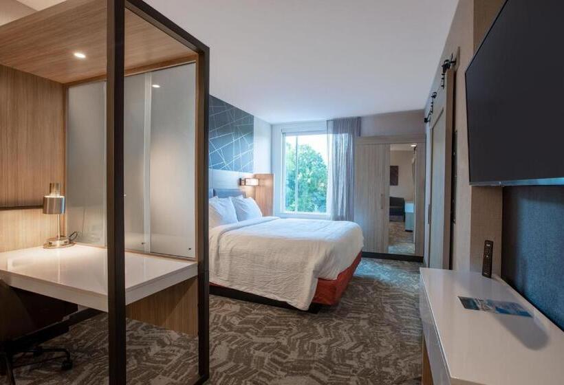 酒店 Springhill Suites By Marriott Chester