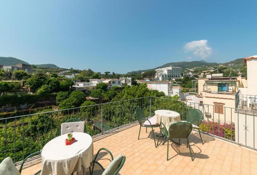 Villa Dei Sogni   Aparthotel Ischia Ponte