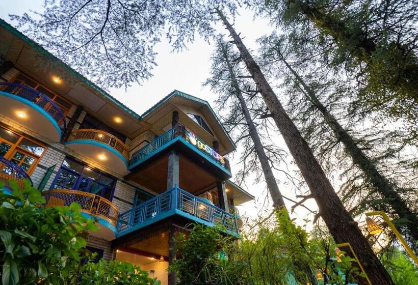 هاستل Gostops Kasol