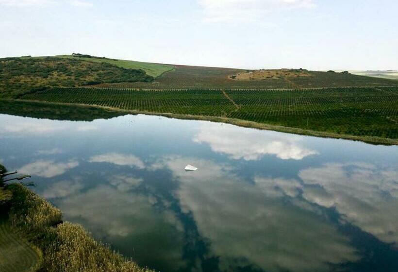 مبيت وإفطار The Owl House