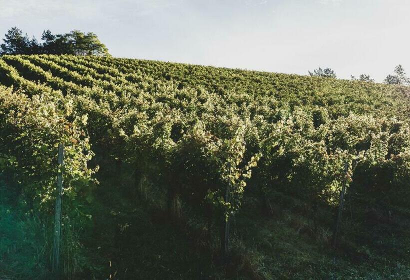 تختخواب و صبحانه Weingut Peter Grill