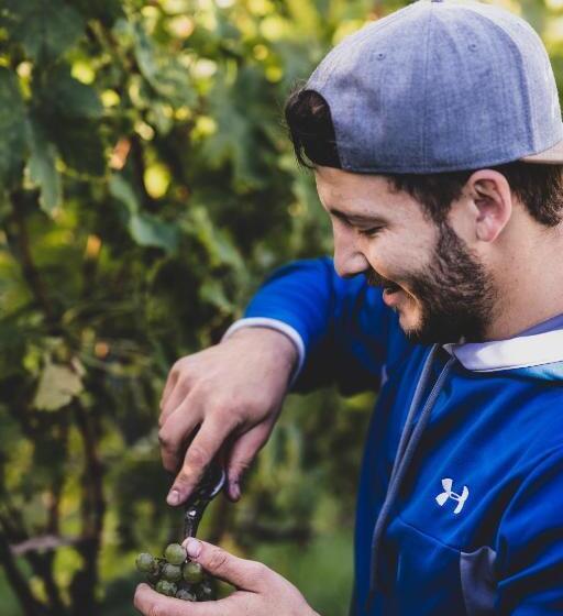 تختخواب و صبحانه Weingut Peter Grill