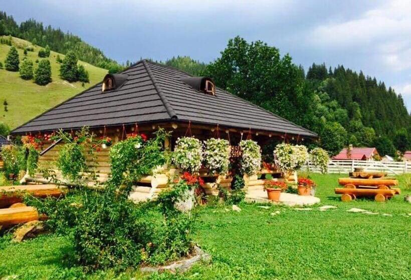 پانسیون Casa Baciu